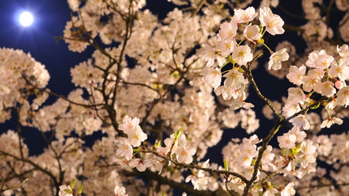 【4/1〜4/8限定】夜桜を楽しむ、2食付きお花見プラン！